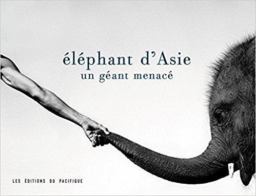 ElephantsAsie