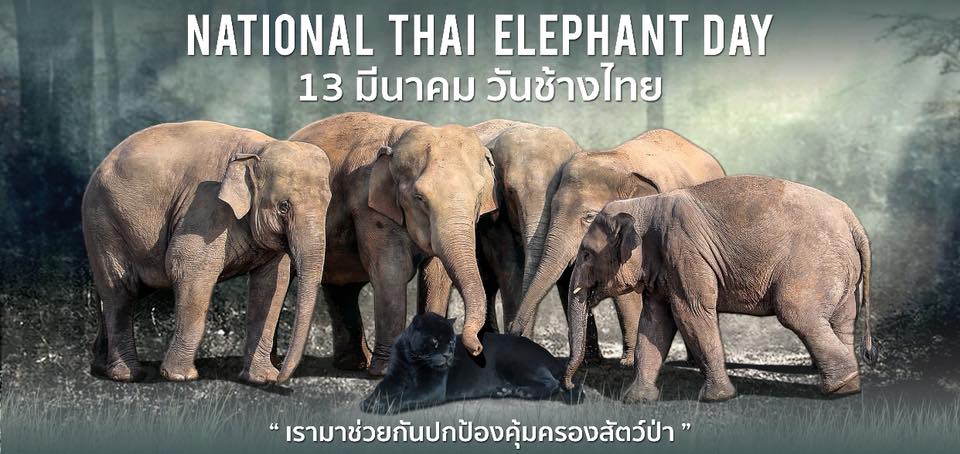 ThaiElephantDay2018ENPCoverFB