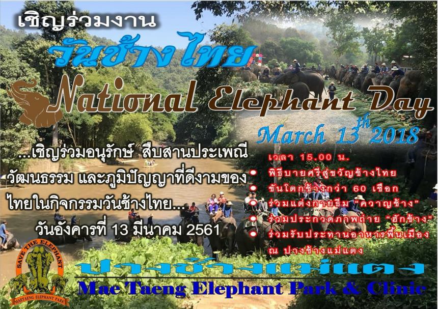 ThaiElephantDay2018MaeTaengCover