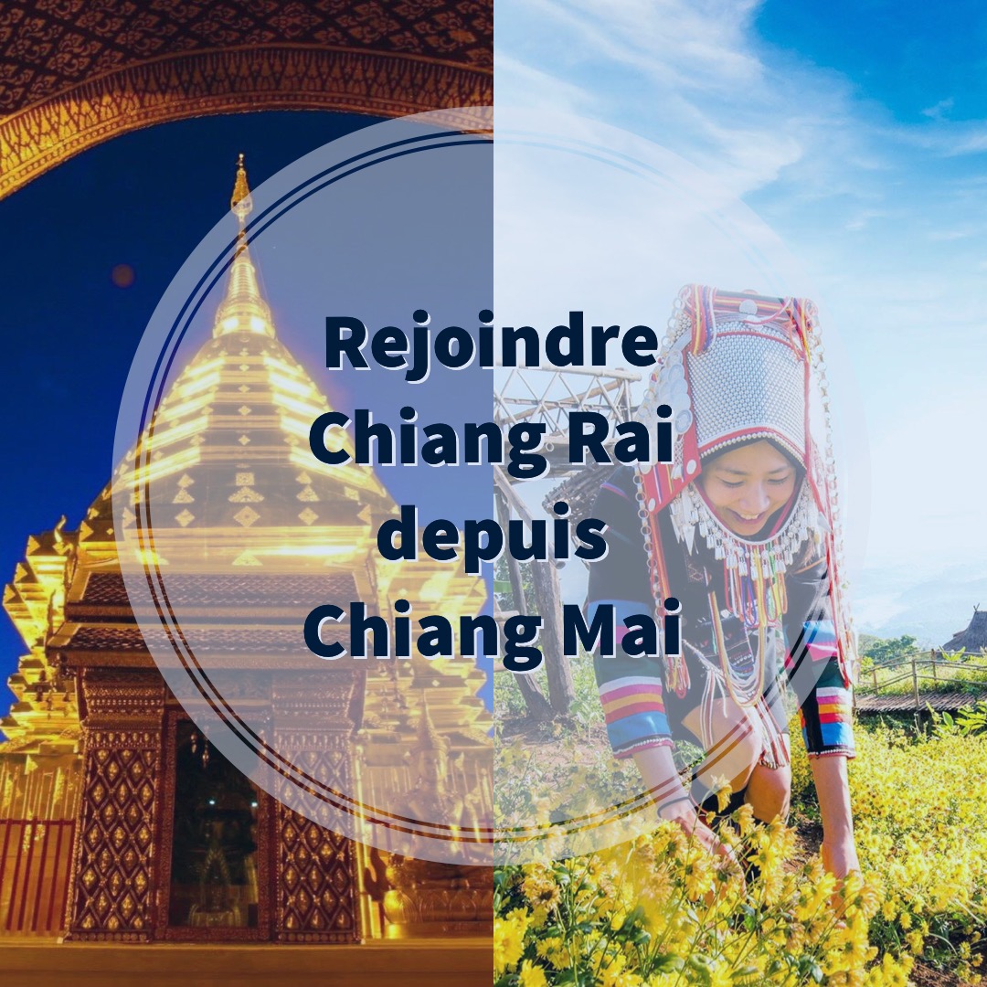 Liaison Chiang Rai - Chiang Mai