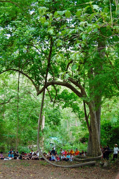 PuSaeYaSaeFestivalMarco11