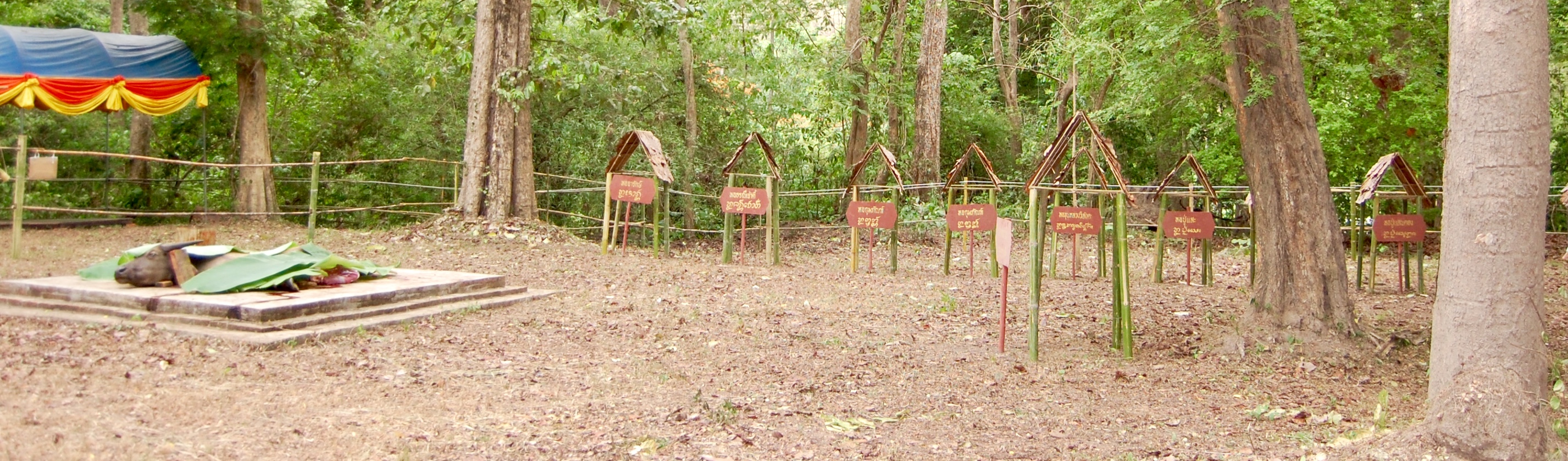 PuSaeYaSaeFestivalMarco3