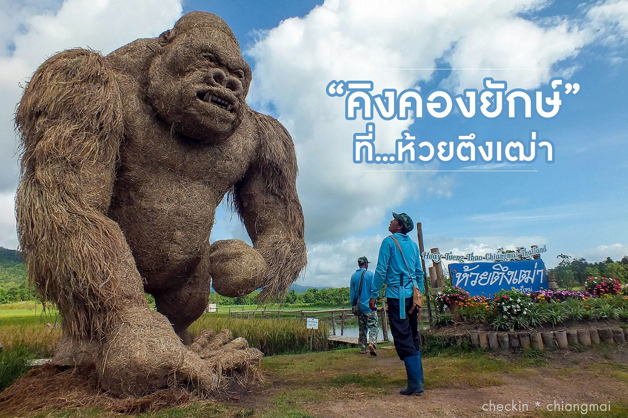 Huay Tueng Thao - King Kong - Checkin Chiangmai0