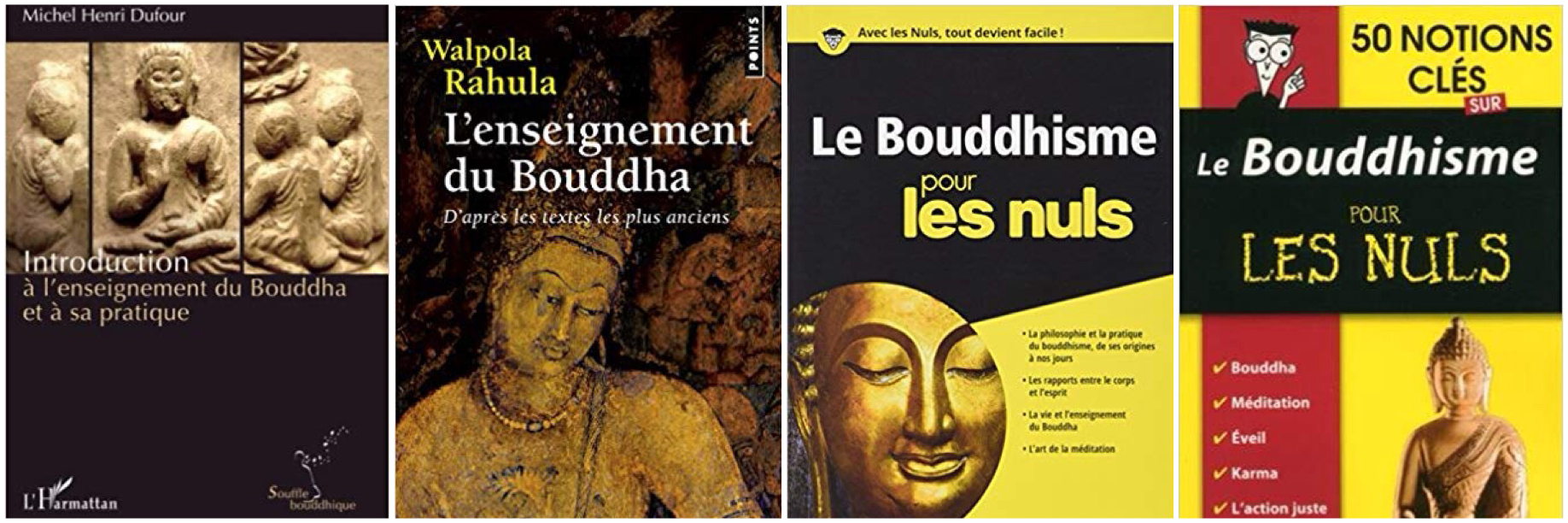 Bouddhisme - Livres Montage 1.jpeg