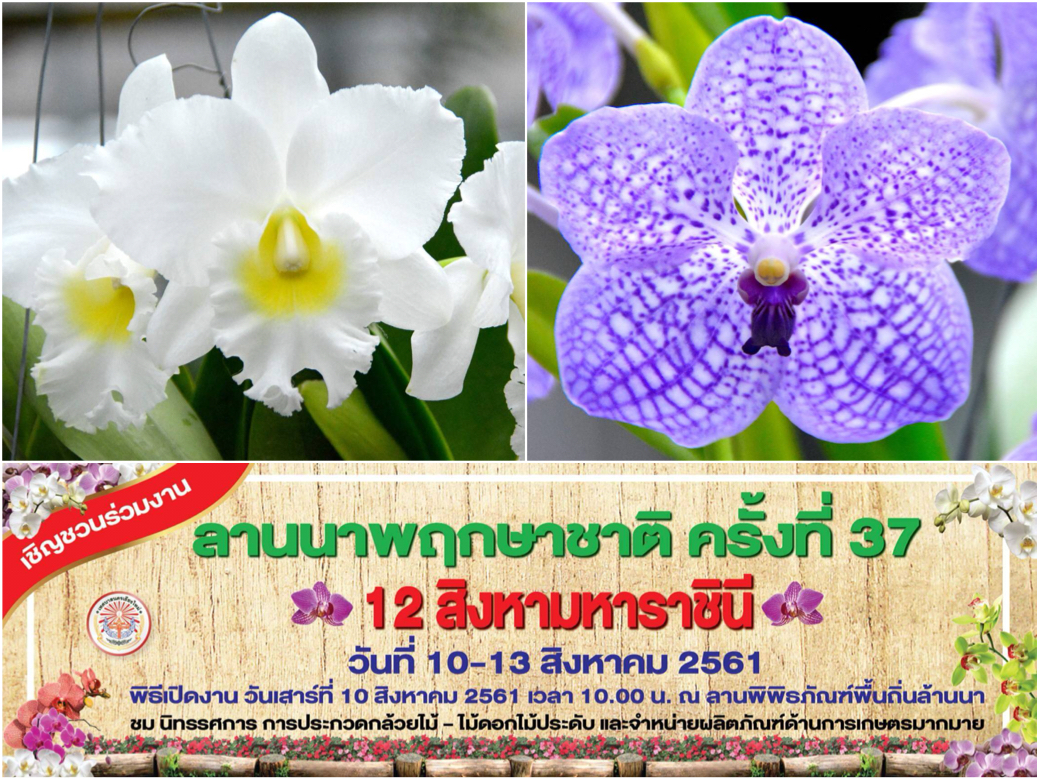 Lanna Flora Festival 2018 Cover Montage