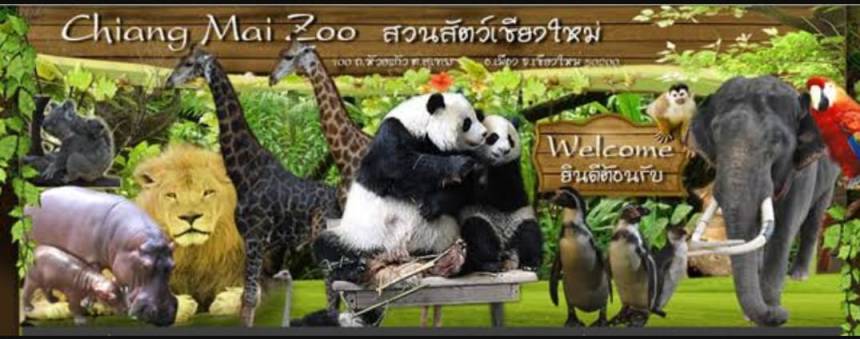 Zoo de Chiang Mai Cover FB4