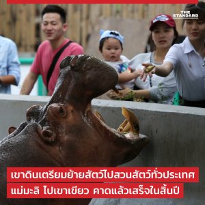 Zoo de Dusit The Standard FB