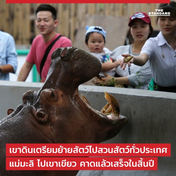 Zoo de Dusit The Standard FB