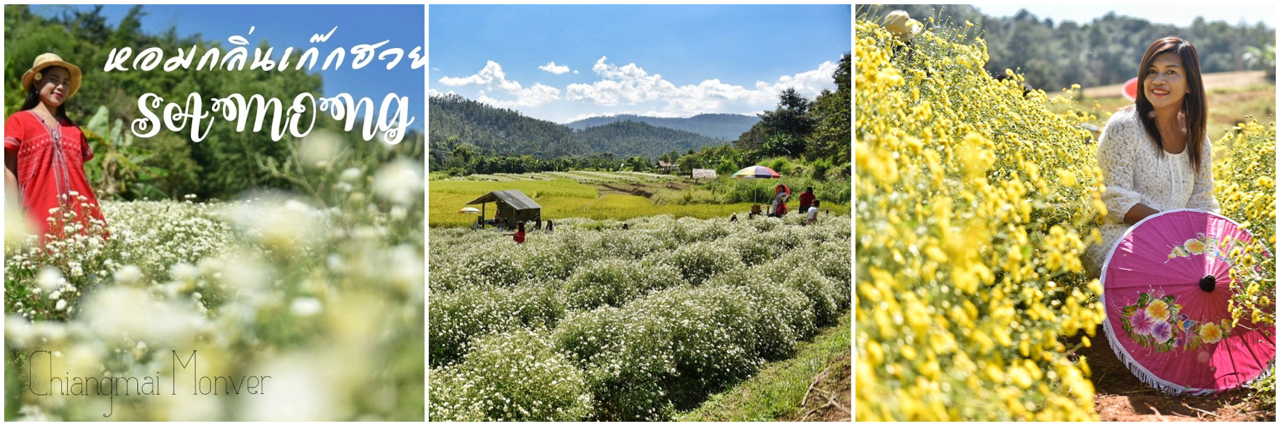 Photo IAmSeason Montage.jpeg