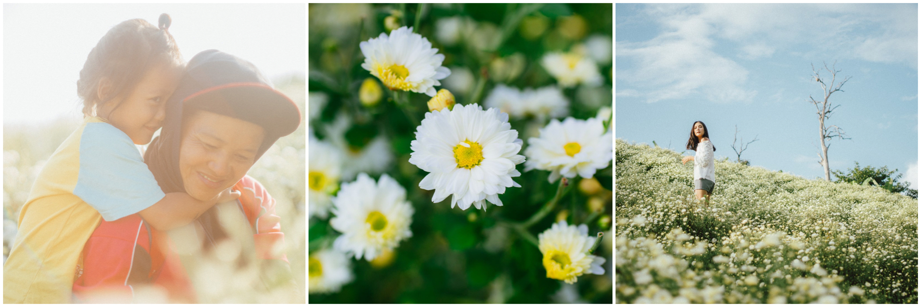 Photo The Wanderer Bear Montage.jpeg