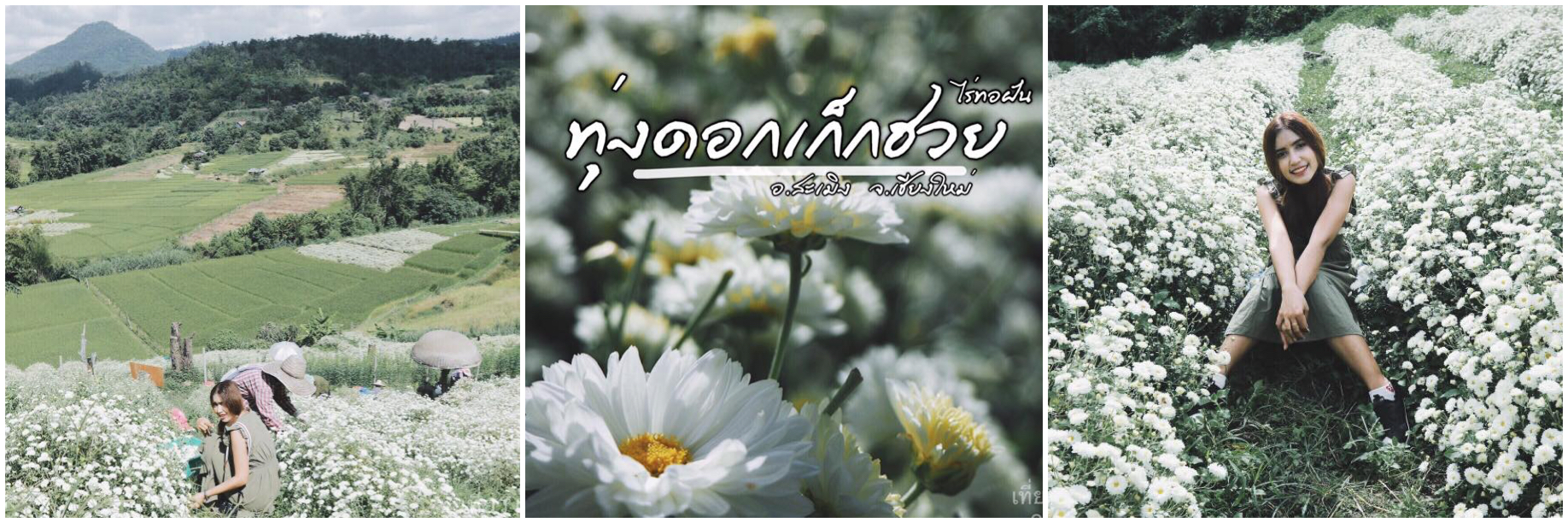 Photo TheiywLaewHlaw Montage.jpeg