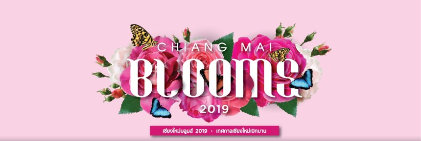 cmflowerfestival2019chiangmaibloomscoverfbrecadrc3a9