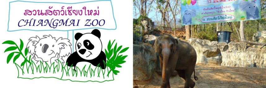 ThaiElephantDay2019ChiangmaiZooMontage