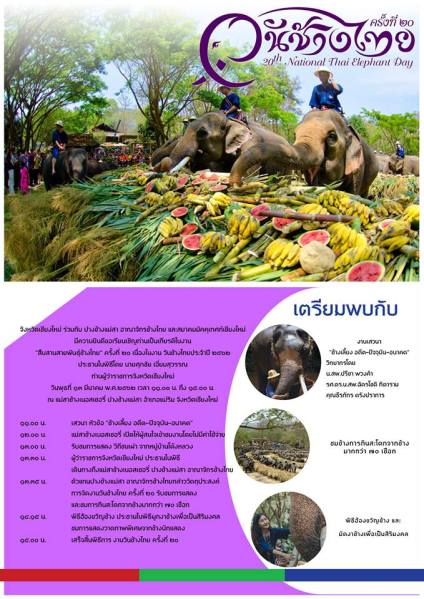 ThaiElephantDay2019MaeSaCover