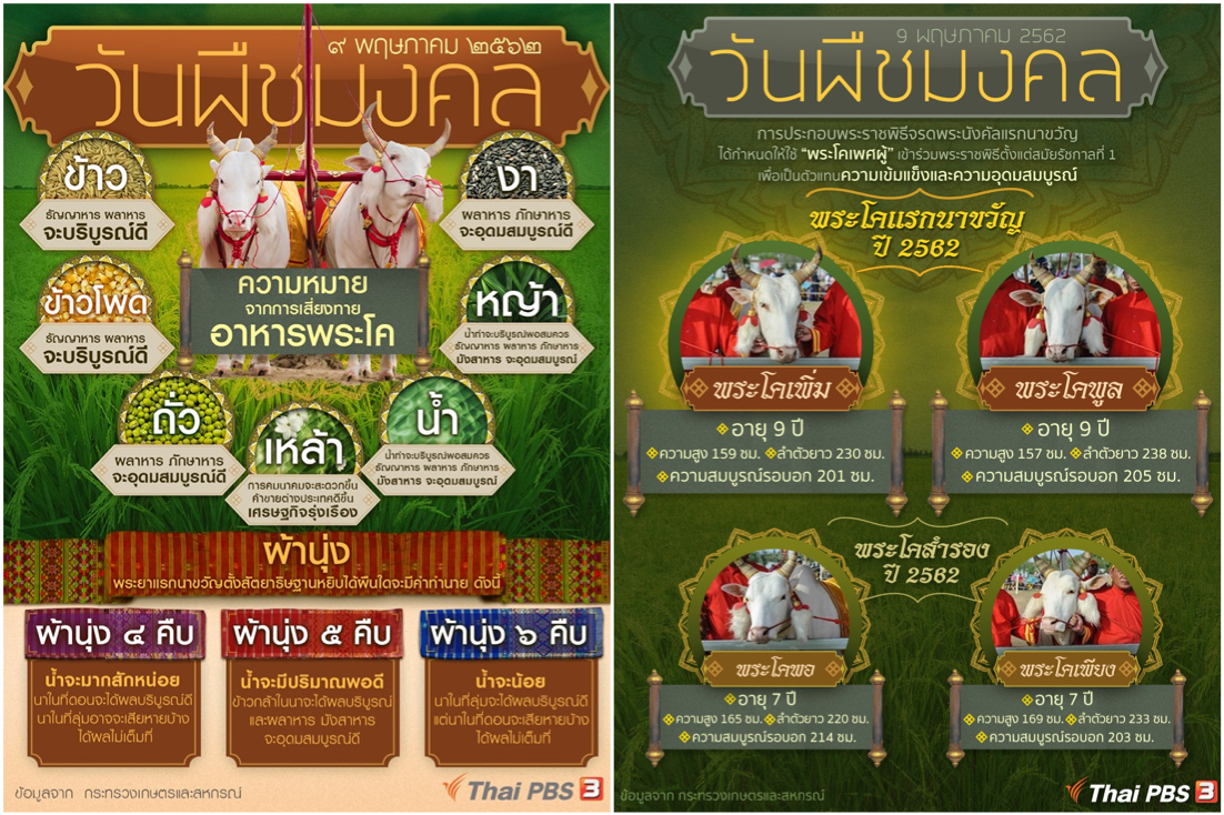 RoyalPloughingDay2019PostThaiPBSMontage.jpeg