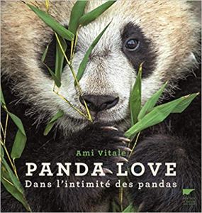 Panda Love Amazon